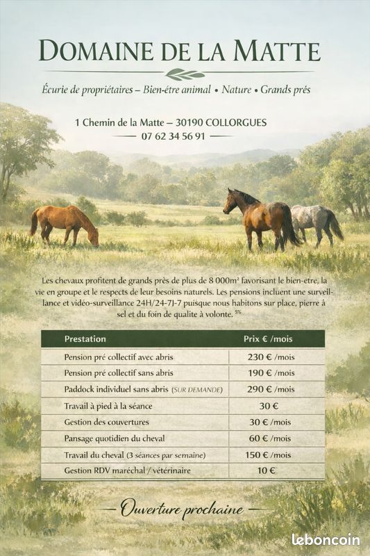 PENSION CHIENS/CHEVAUX DE LA MATTE — photo