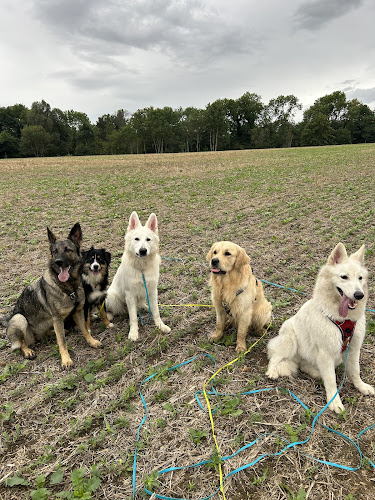 Woof happiness