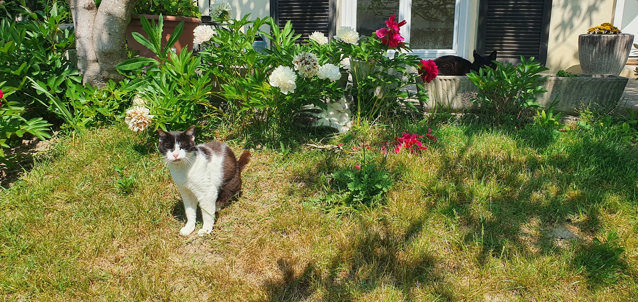 Le domaine câlin — photo