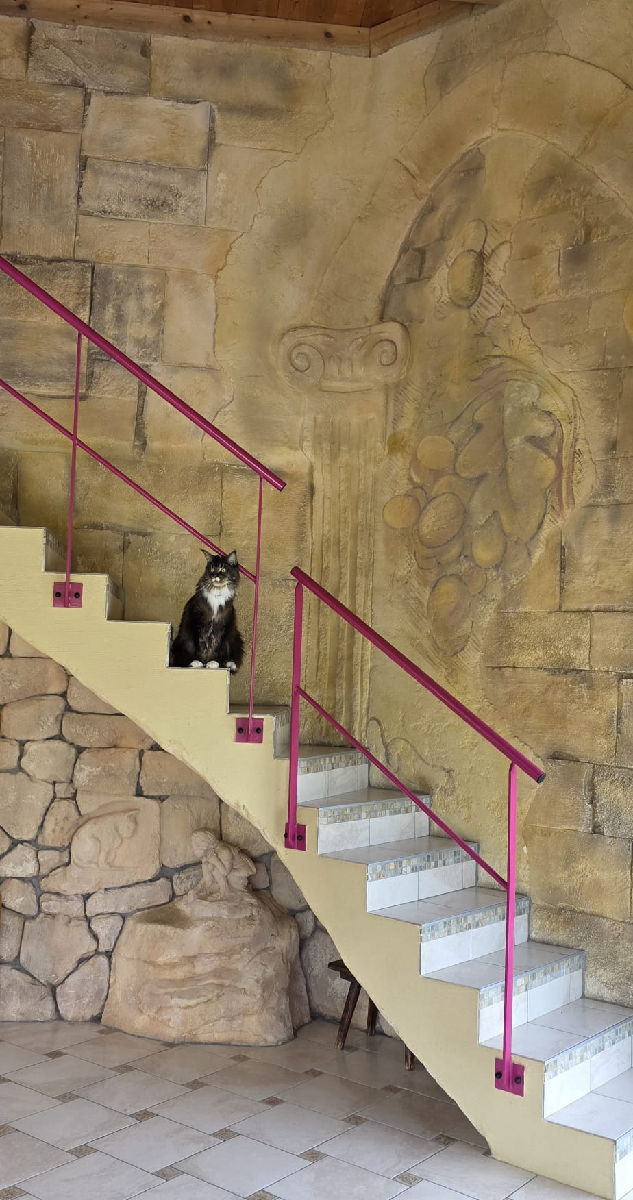 Club Vacances Pour Animaux