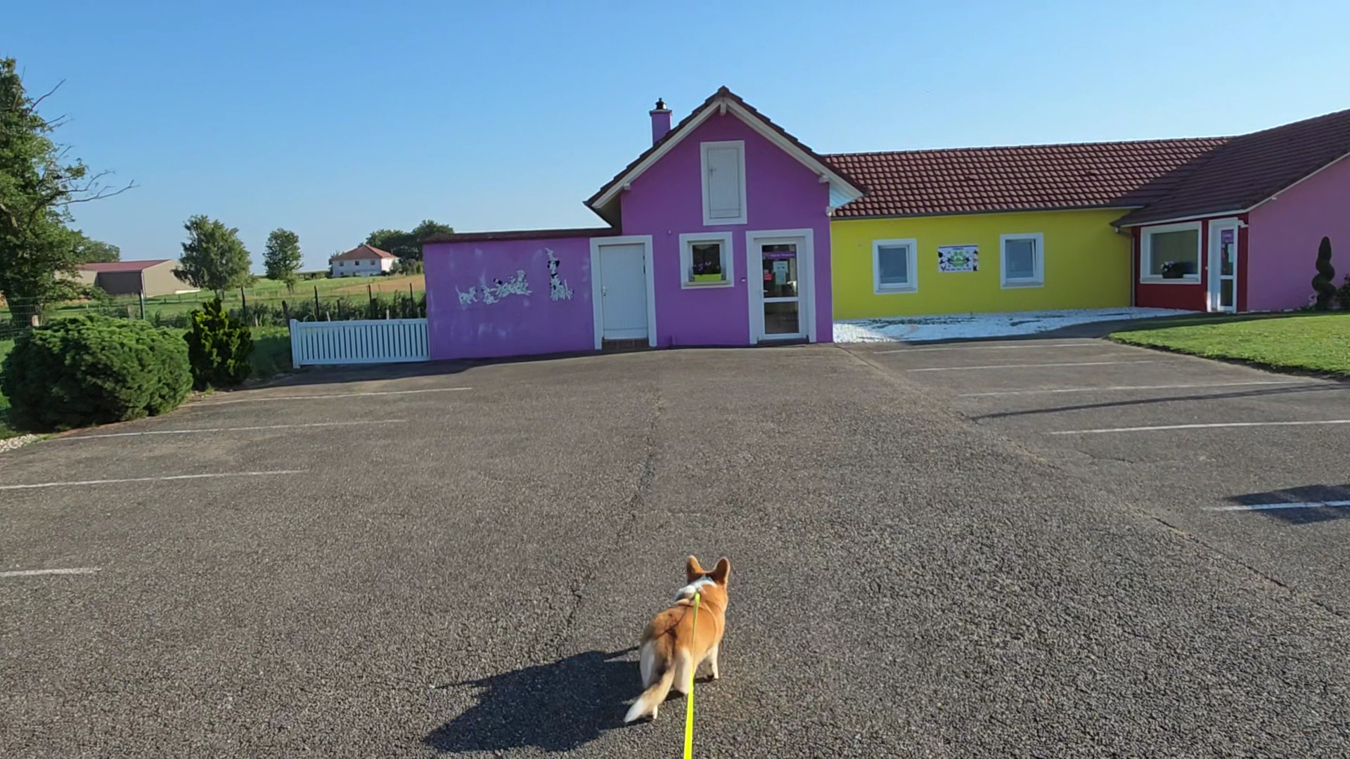 Club Vacances Pour Animaux — photo