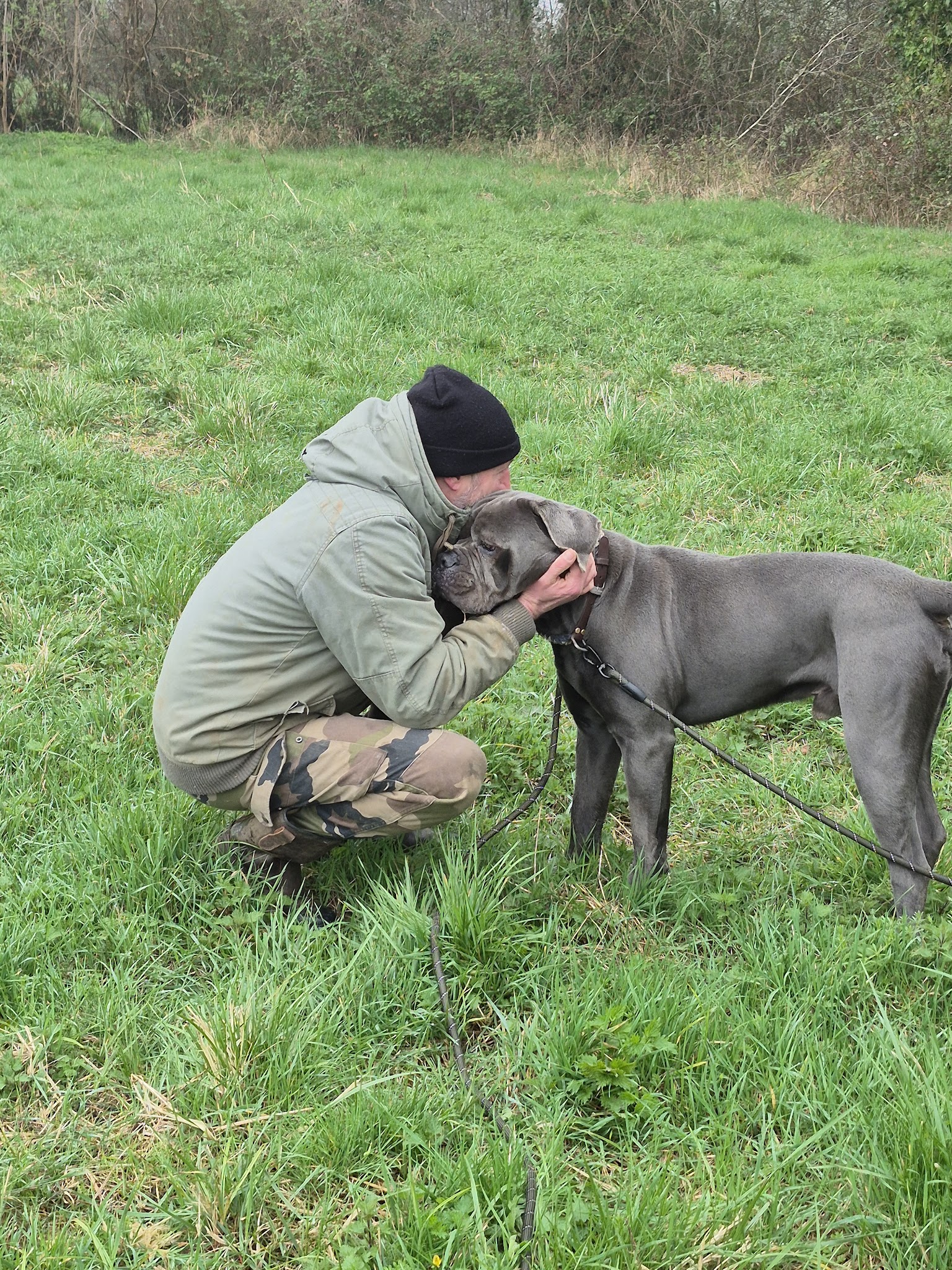 Les Étoiles Normandes – Pension Canine & Féline — photo