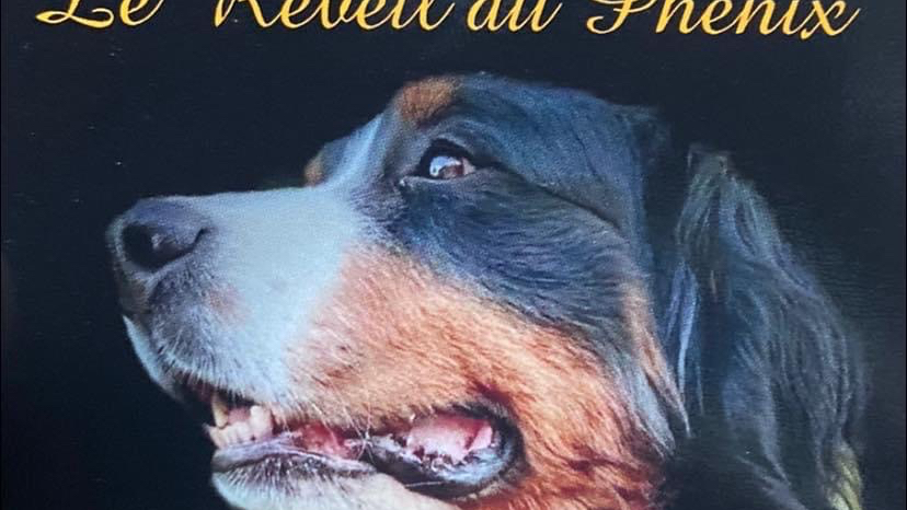 Le Réveil du Phénix
