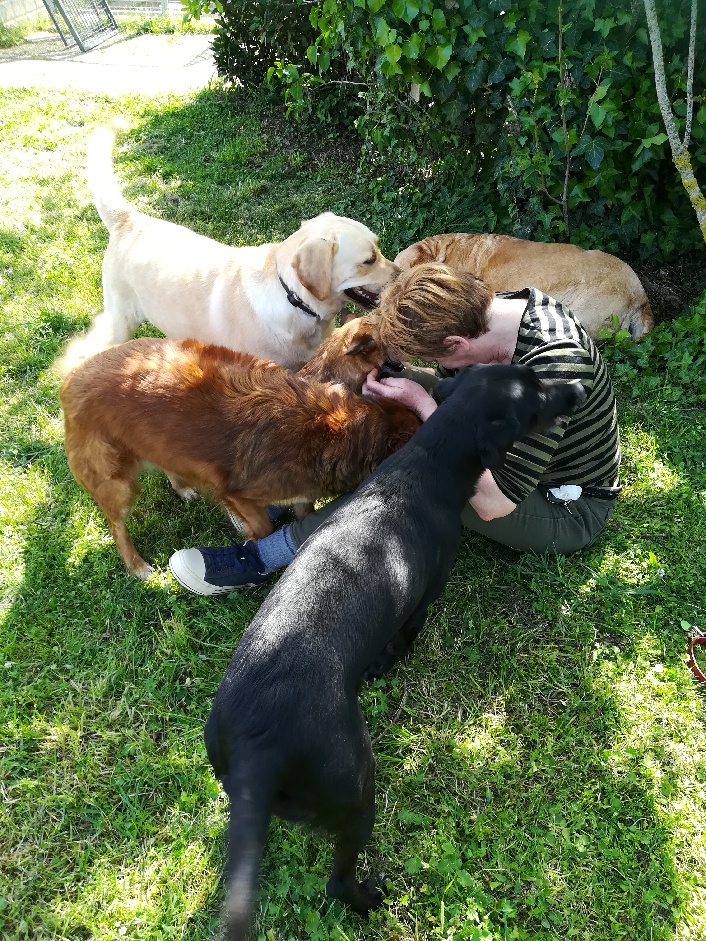 PENSION CANINE FELINE CHARENTE MARITIME ANIMOCEAN — photo