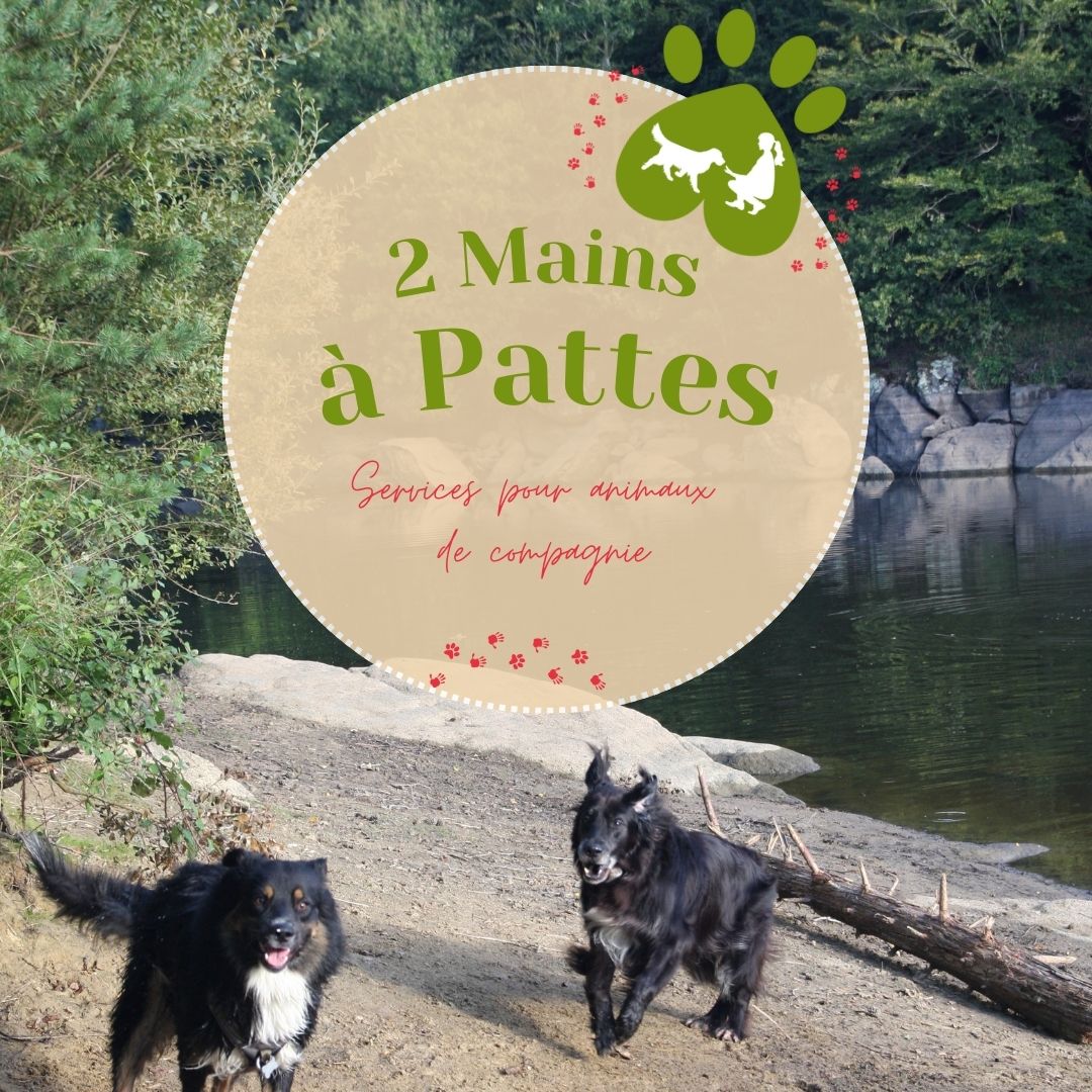 2 Mains à Pattes