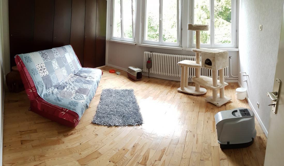 POILS ET PLUMES - Pension pour animaux de compagnie — photo