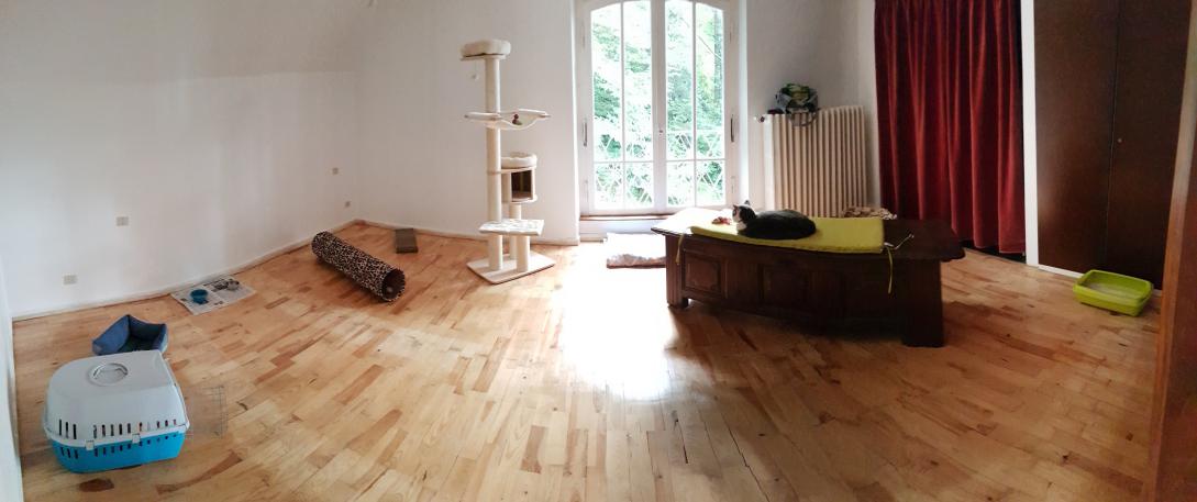 POILS ET PLUMES - Pension pour animaux de compagnie — photo