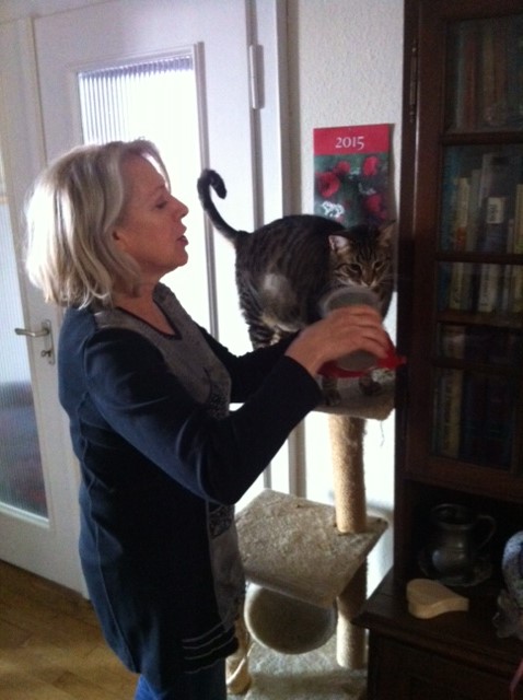 POILS ET PLUMES - Pension pour animaux de compagnie — photo