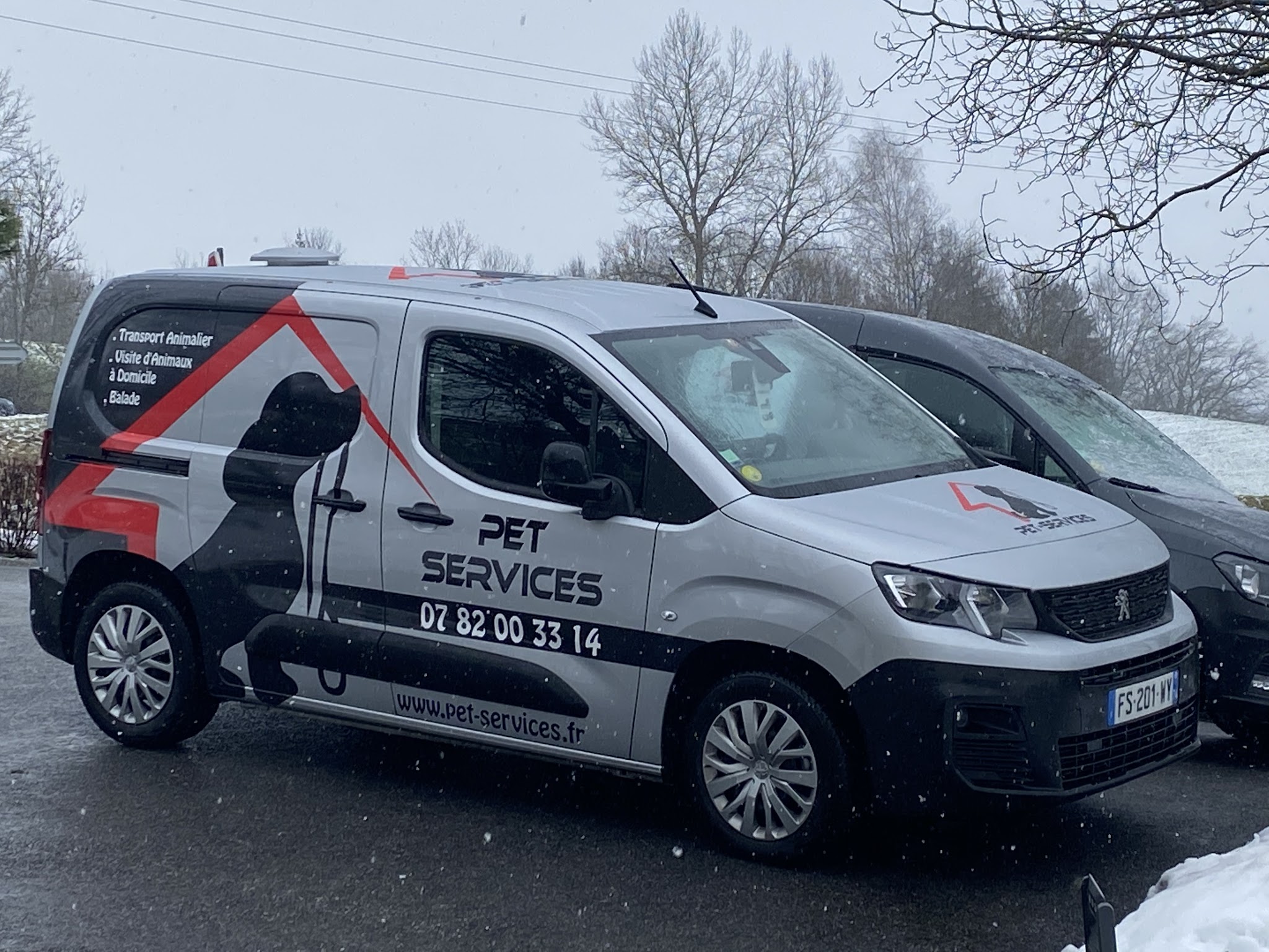 Pet-Services — photo