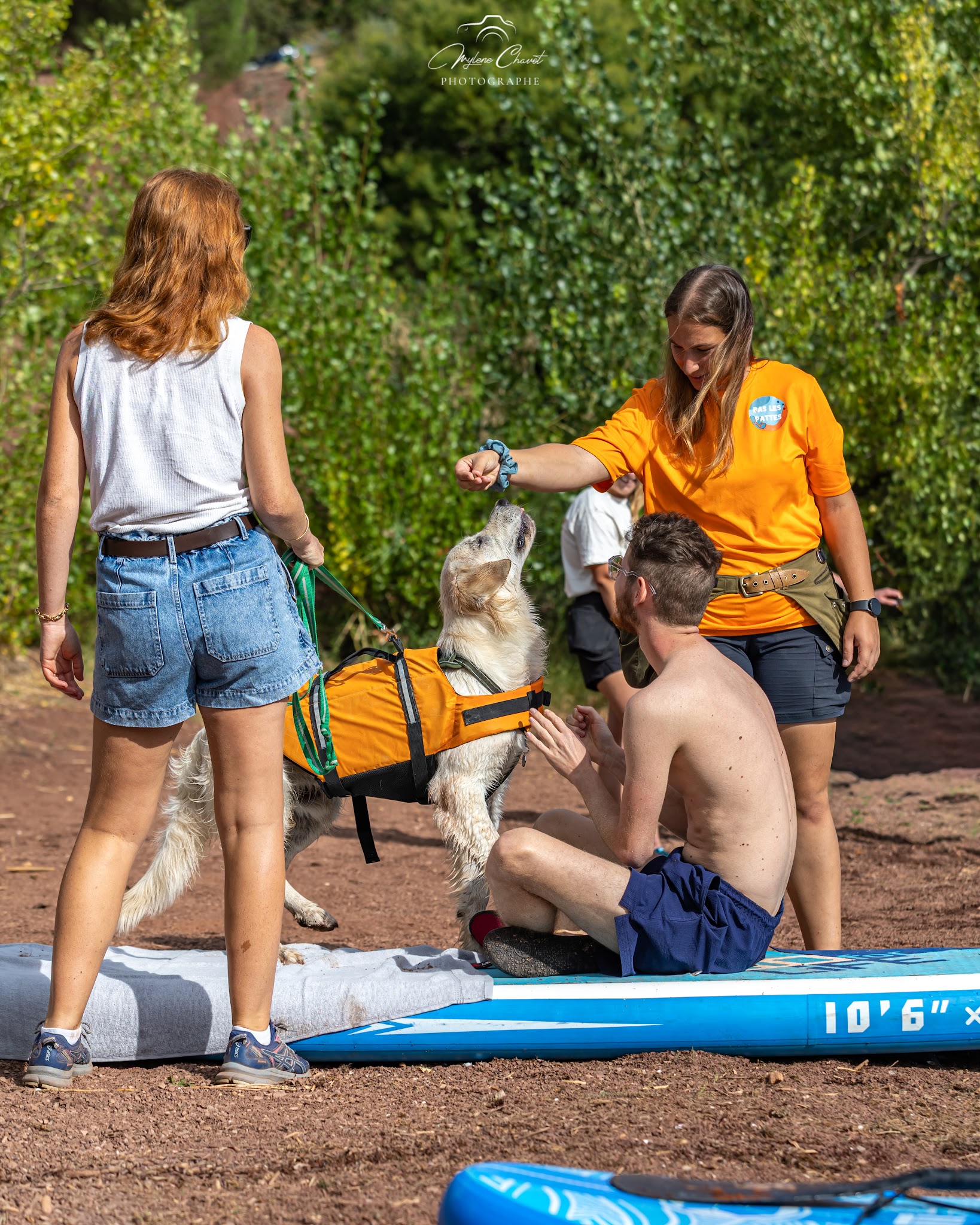 Bas les pattes : éducatrice comportementaliste canin et pet sitter — photo
