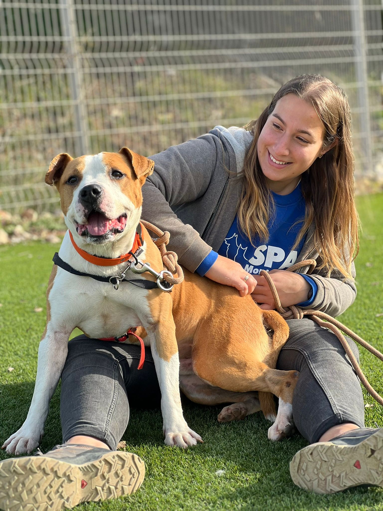 Bas les pattes : éducatrice comportementaliste canin et pet sitter — photo