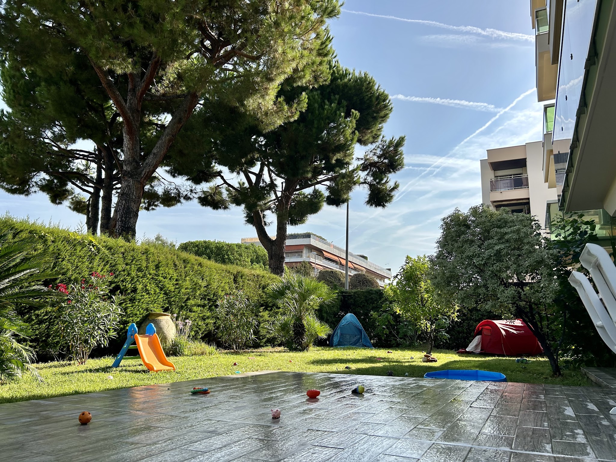 Un Ninou d'Enfer — photo
