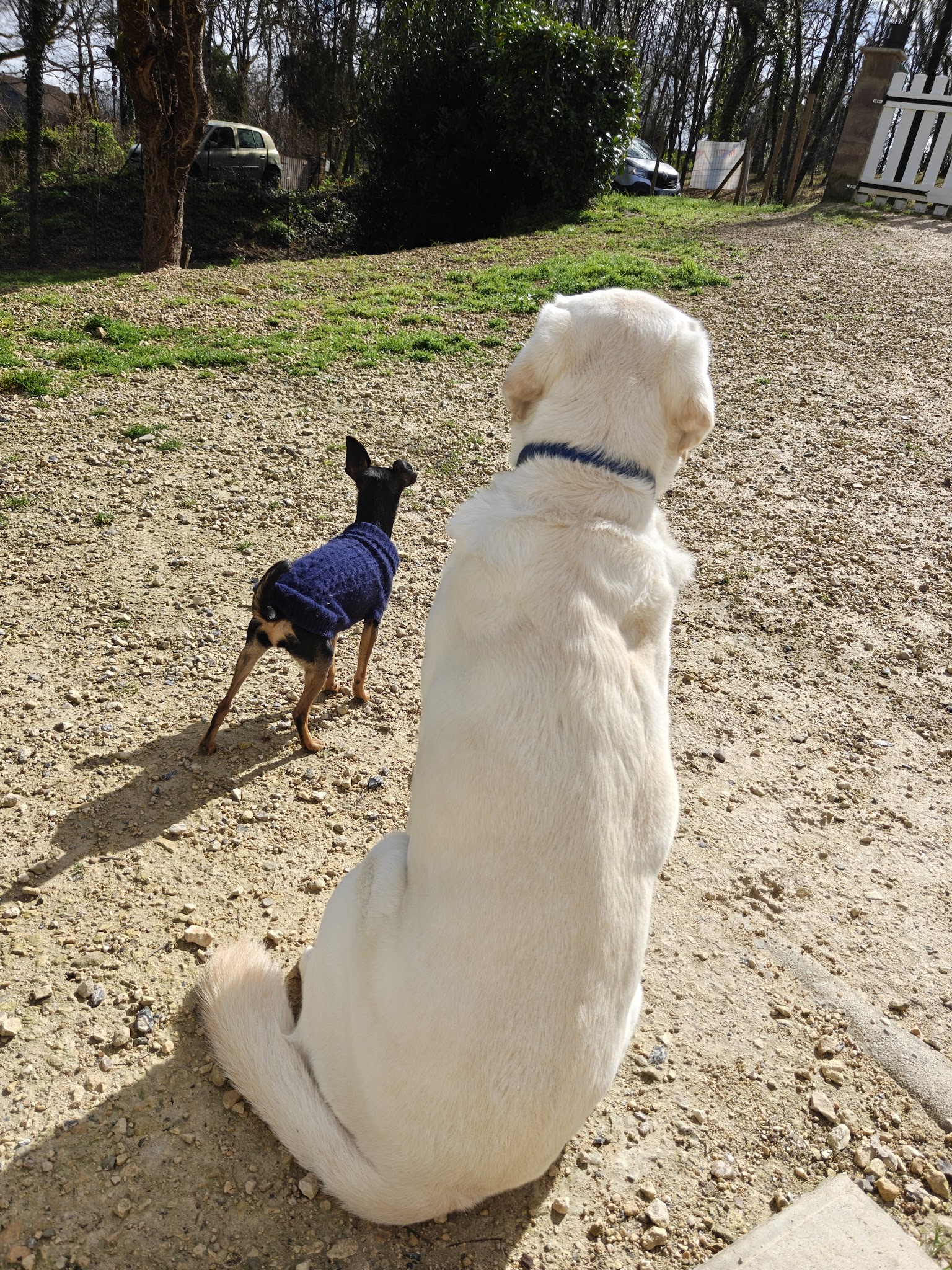 M&H Sitter — photo
