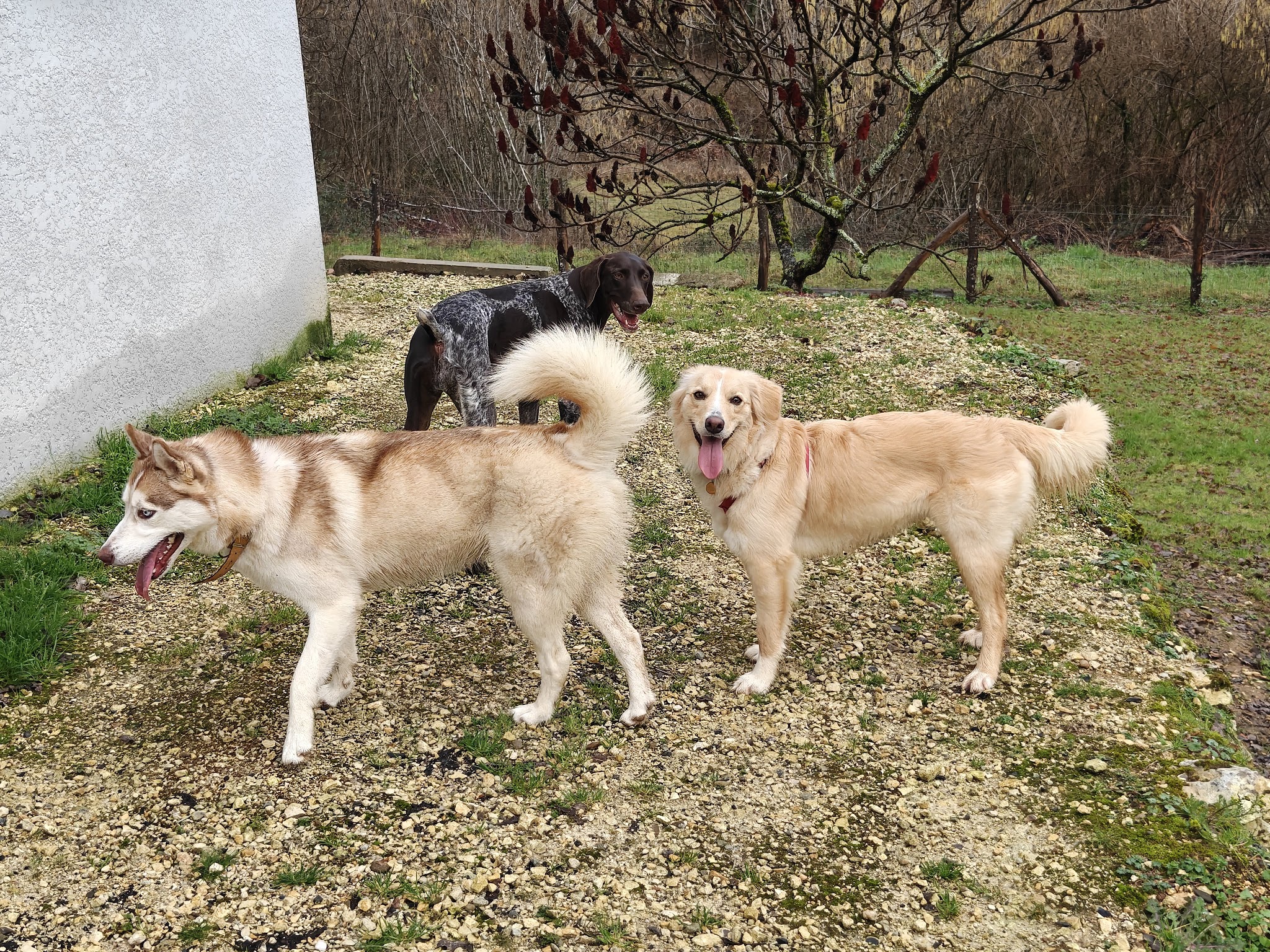 M&H Sitter — photo