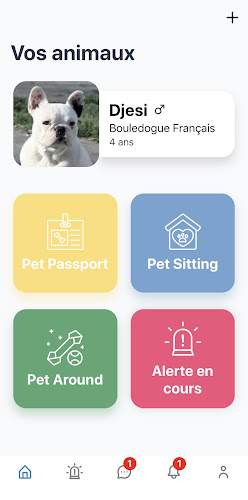 Petzone
