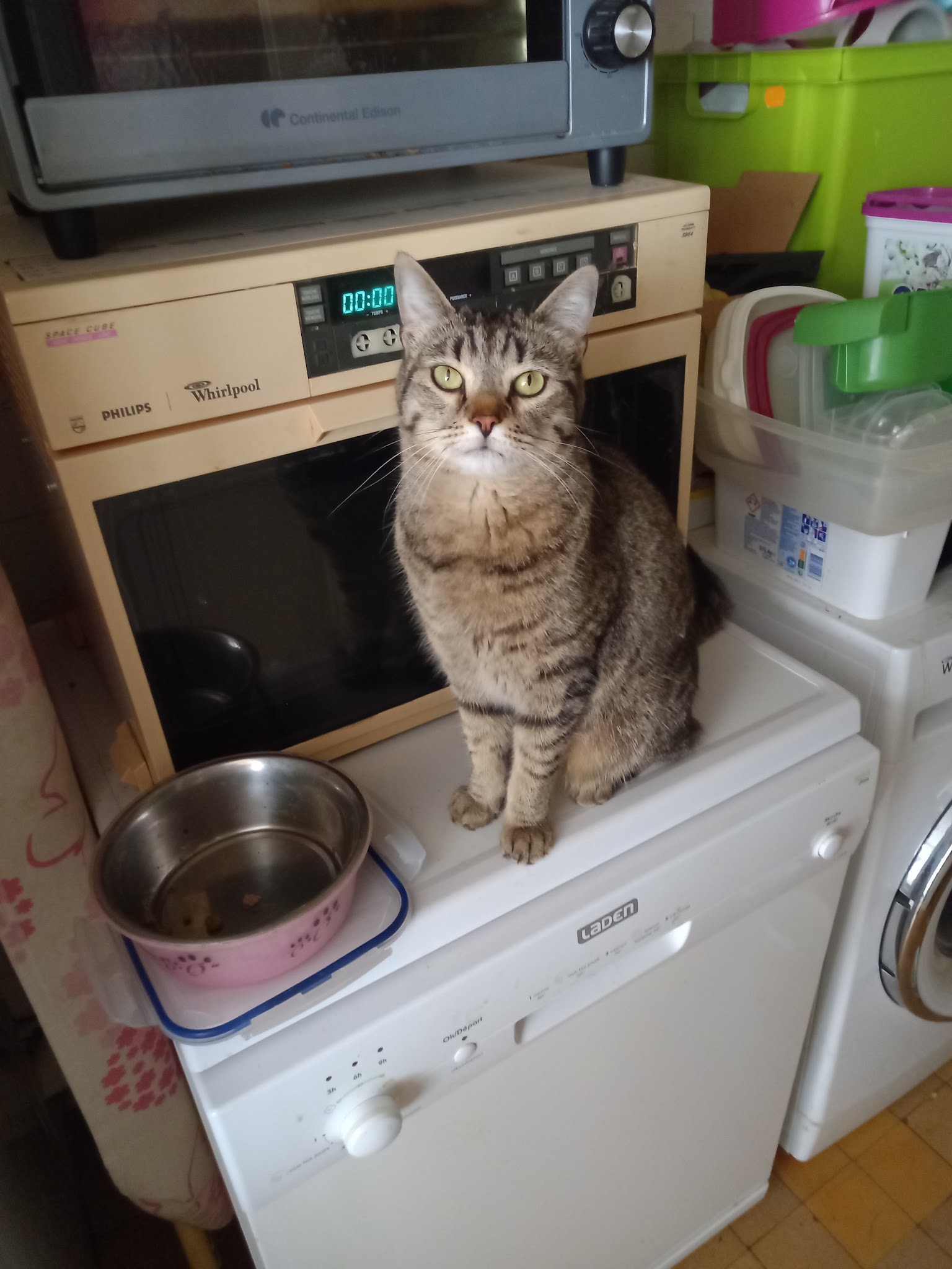Petzone — photo