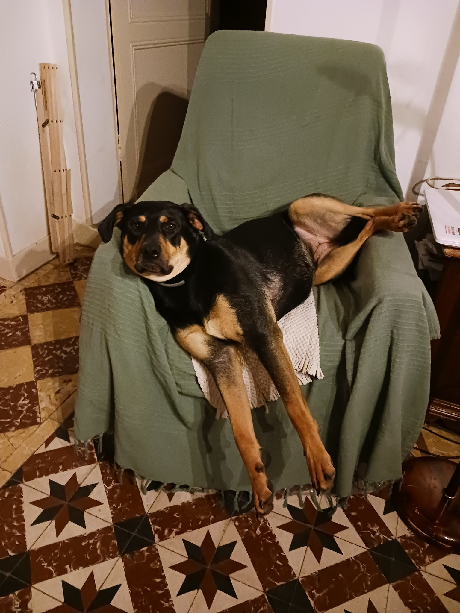 Petzone — photo