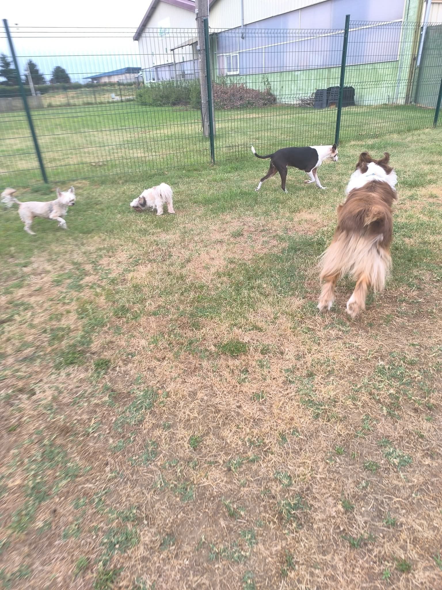 Le Monde des Zou'pets