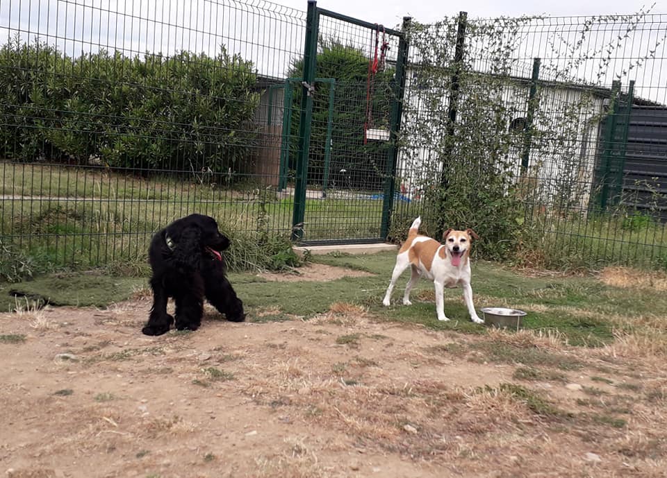 Le Monde des Zou'pets — photo