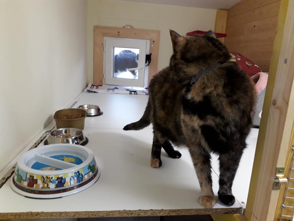 Le Monde des Zou'pets — photo
