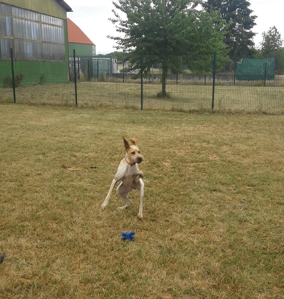 Le Monde des Zou'pets — photo