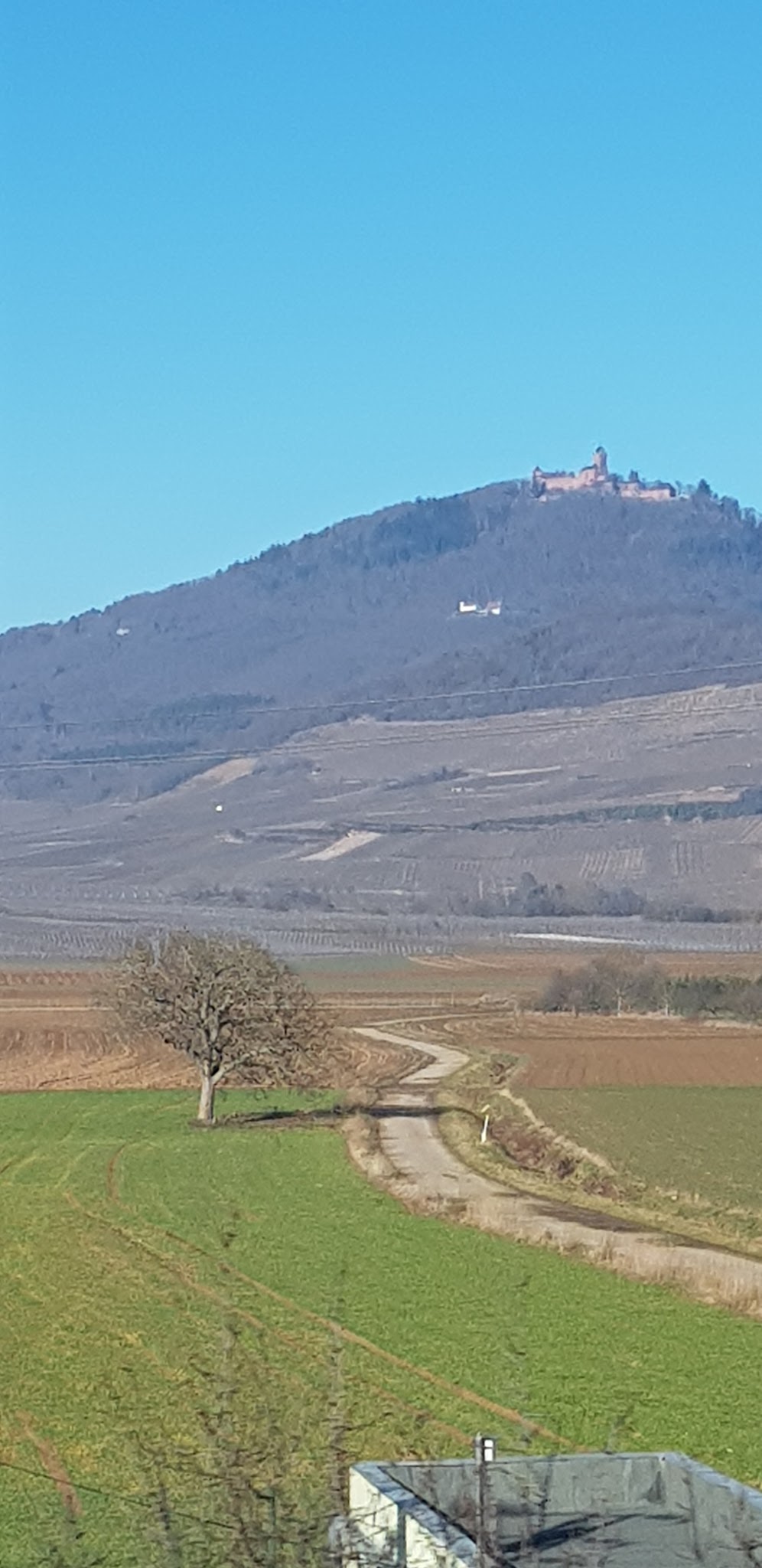 Ferme Vogelheisen — photo