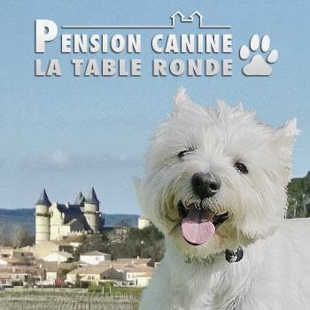 Niches Canines