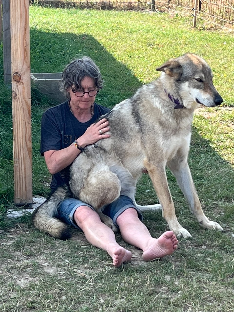 La Taonniere du Fawn — photo