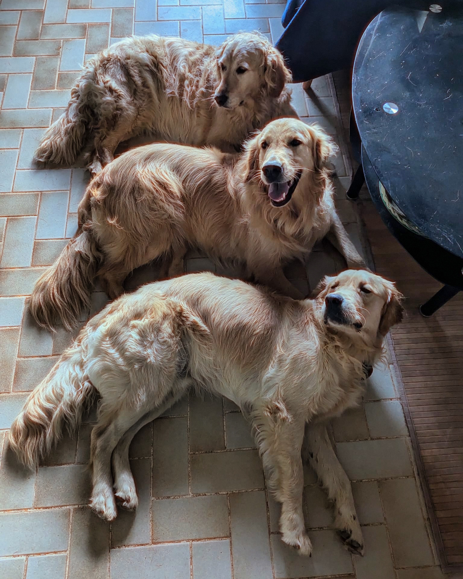 Only's Friends — photo