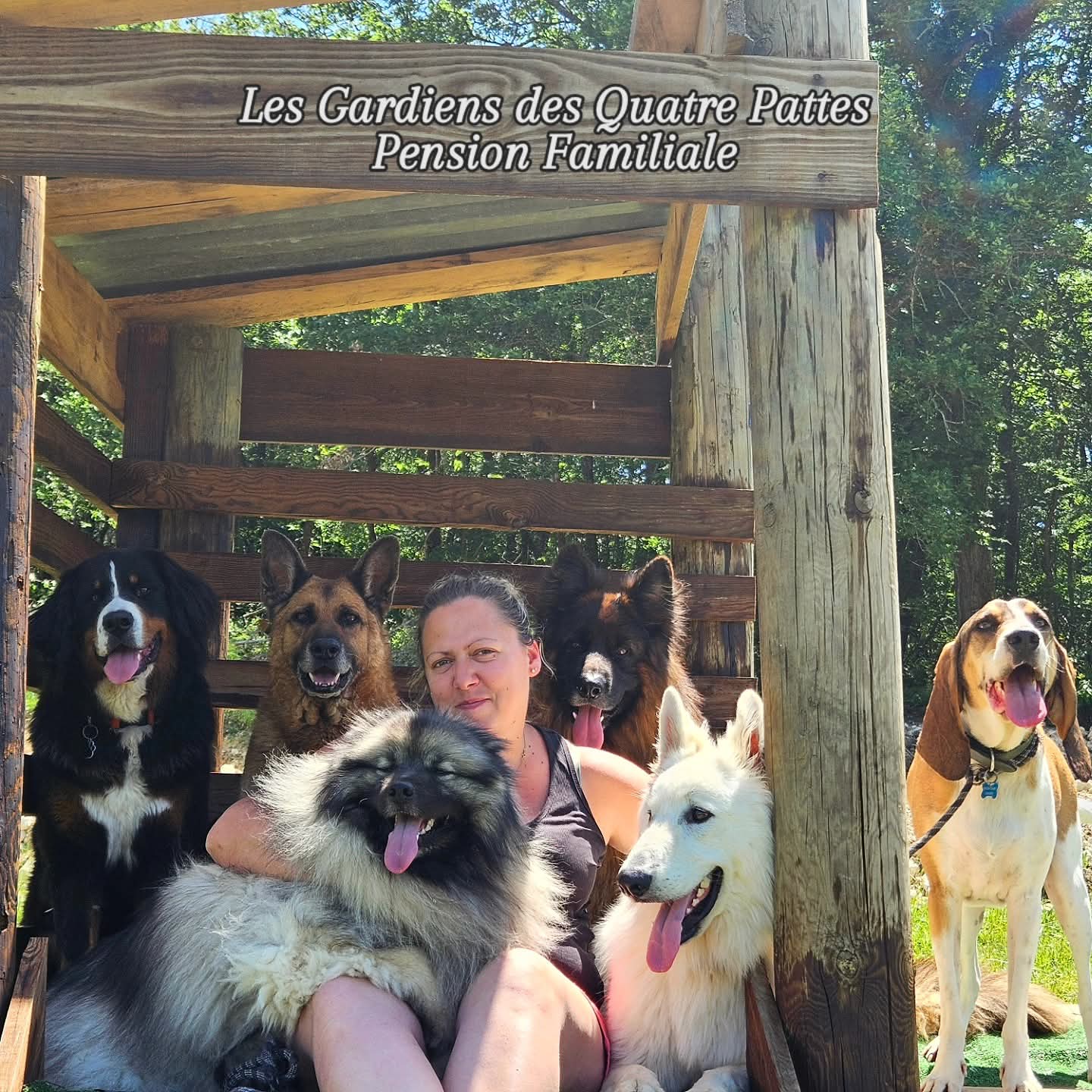 Les Gardiens des Quatre Pattes - Pension Familiale — photo
