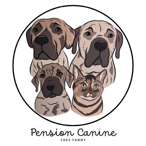 Fanny pension canine — photo