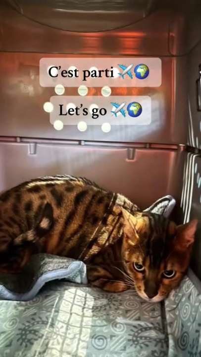 Goldenway International Pets and Live Animals — photo