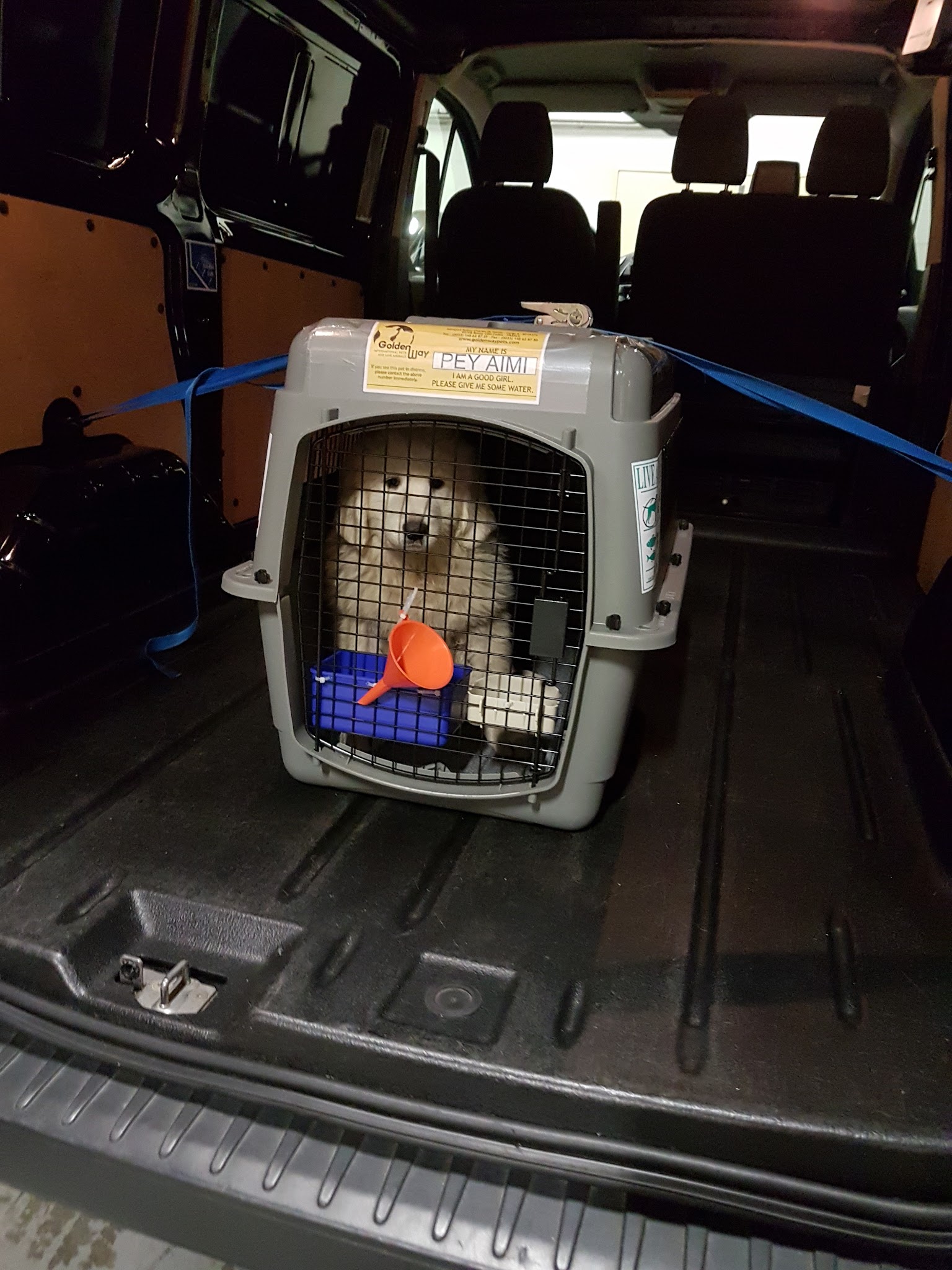 Goldenway International Pets and Live Animals — photo
