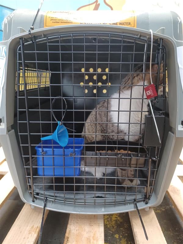 Goldenway International Pets and Live Animals — photo