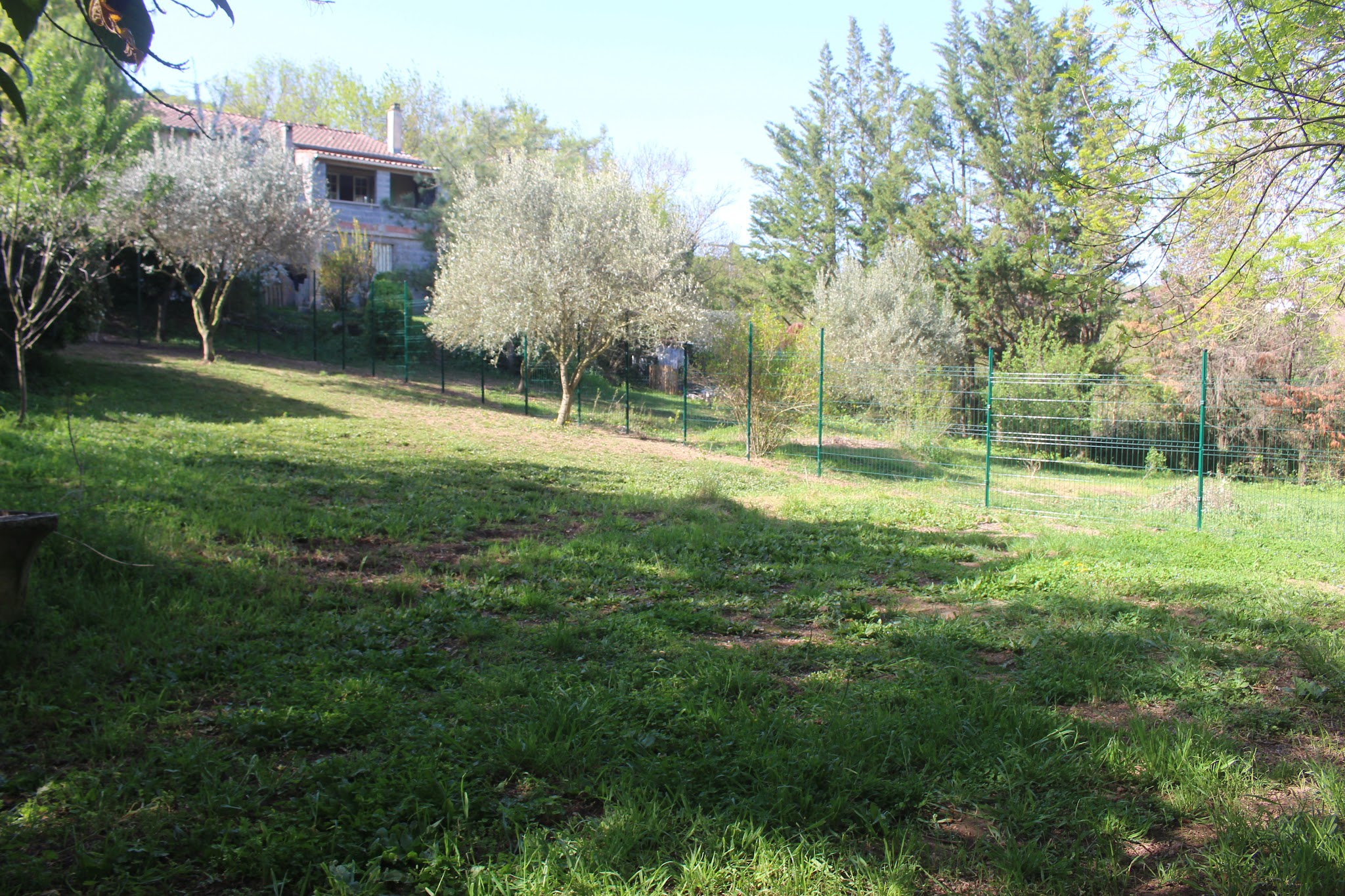La garrigue des toutous - Pension canine dans l'Hérault (34) — photo