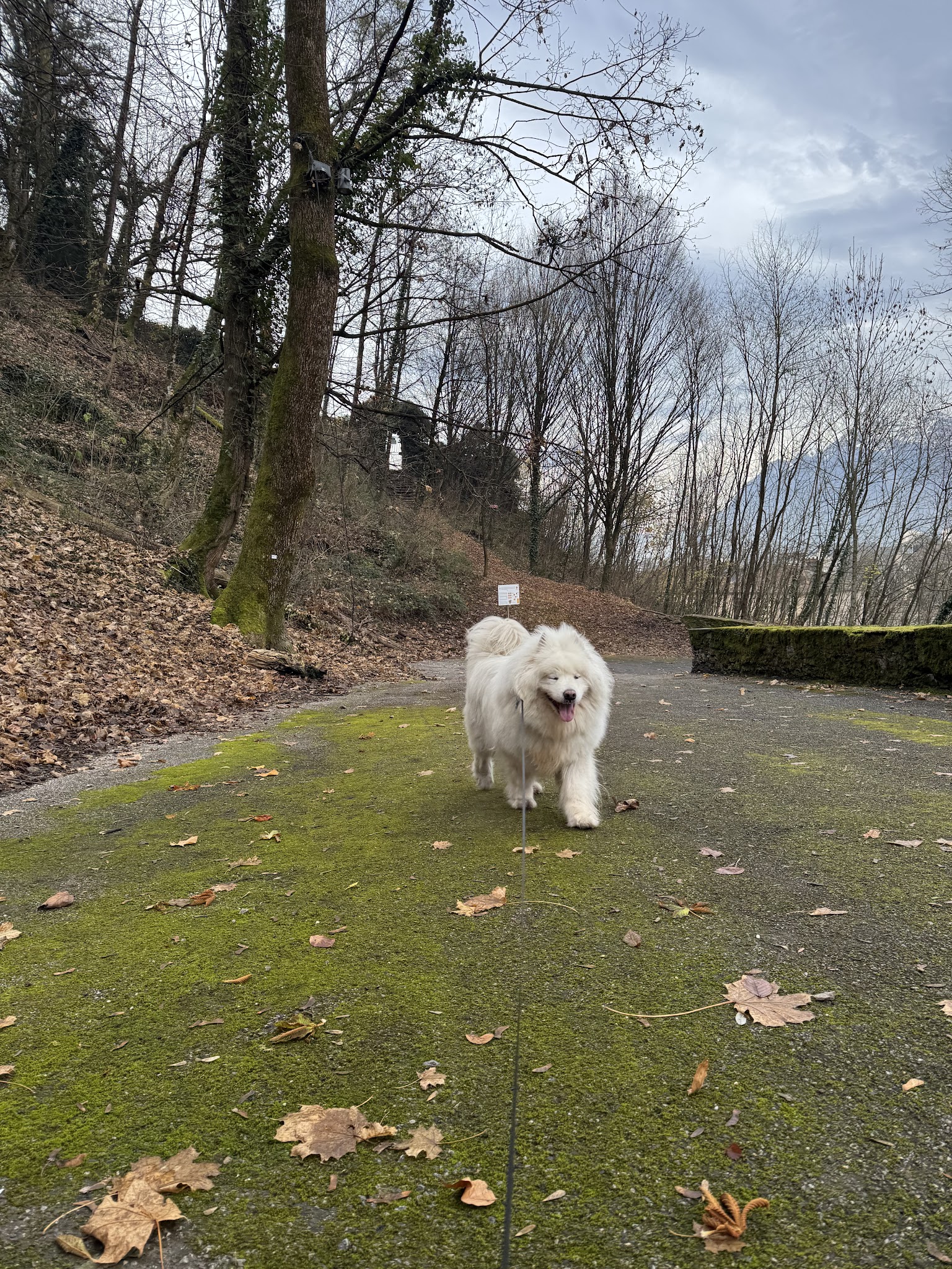 Clarisse Pet-Sitter — photo