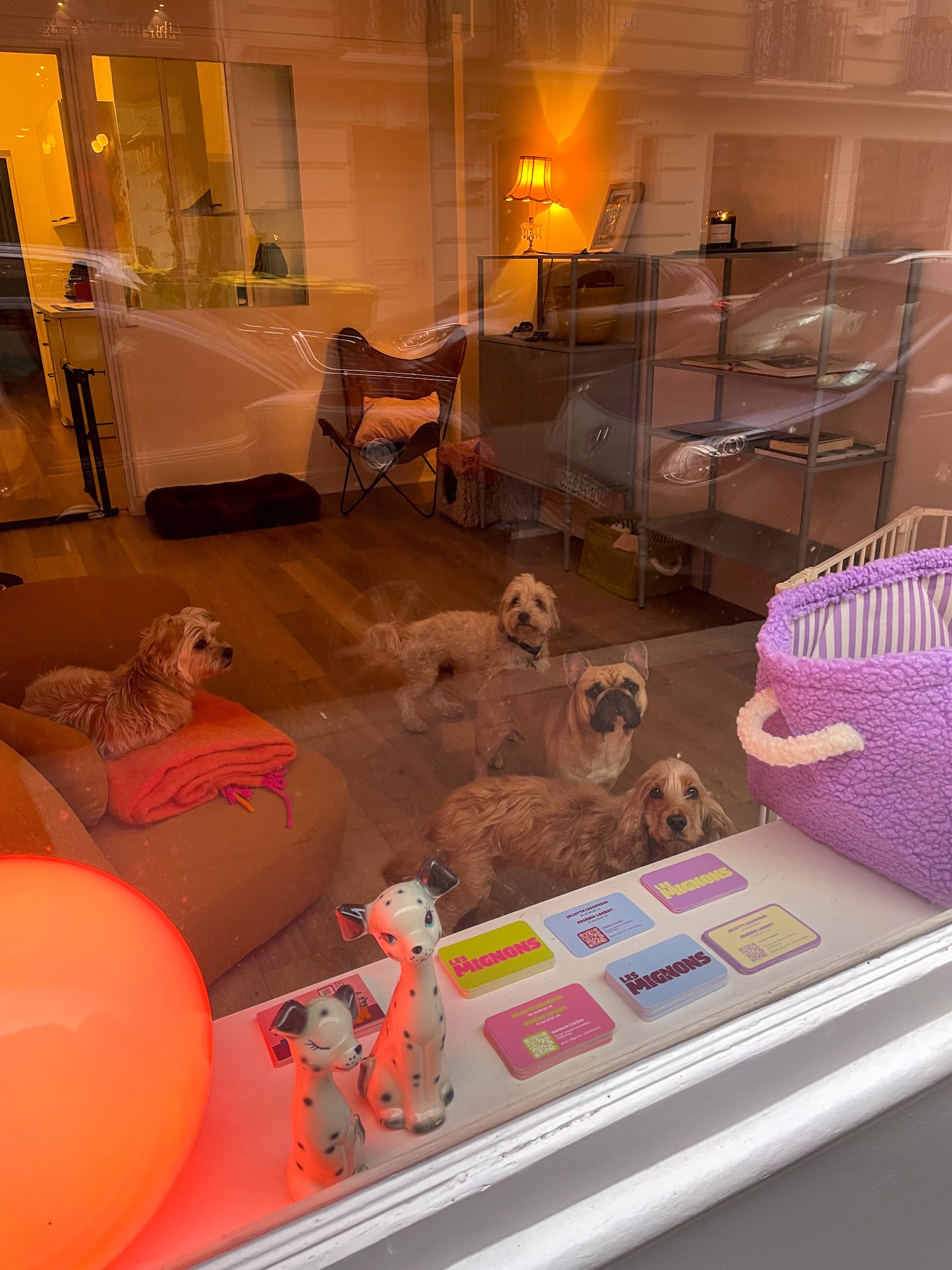 Les Mignons — photo