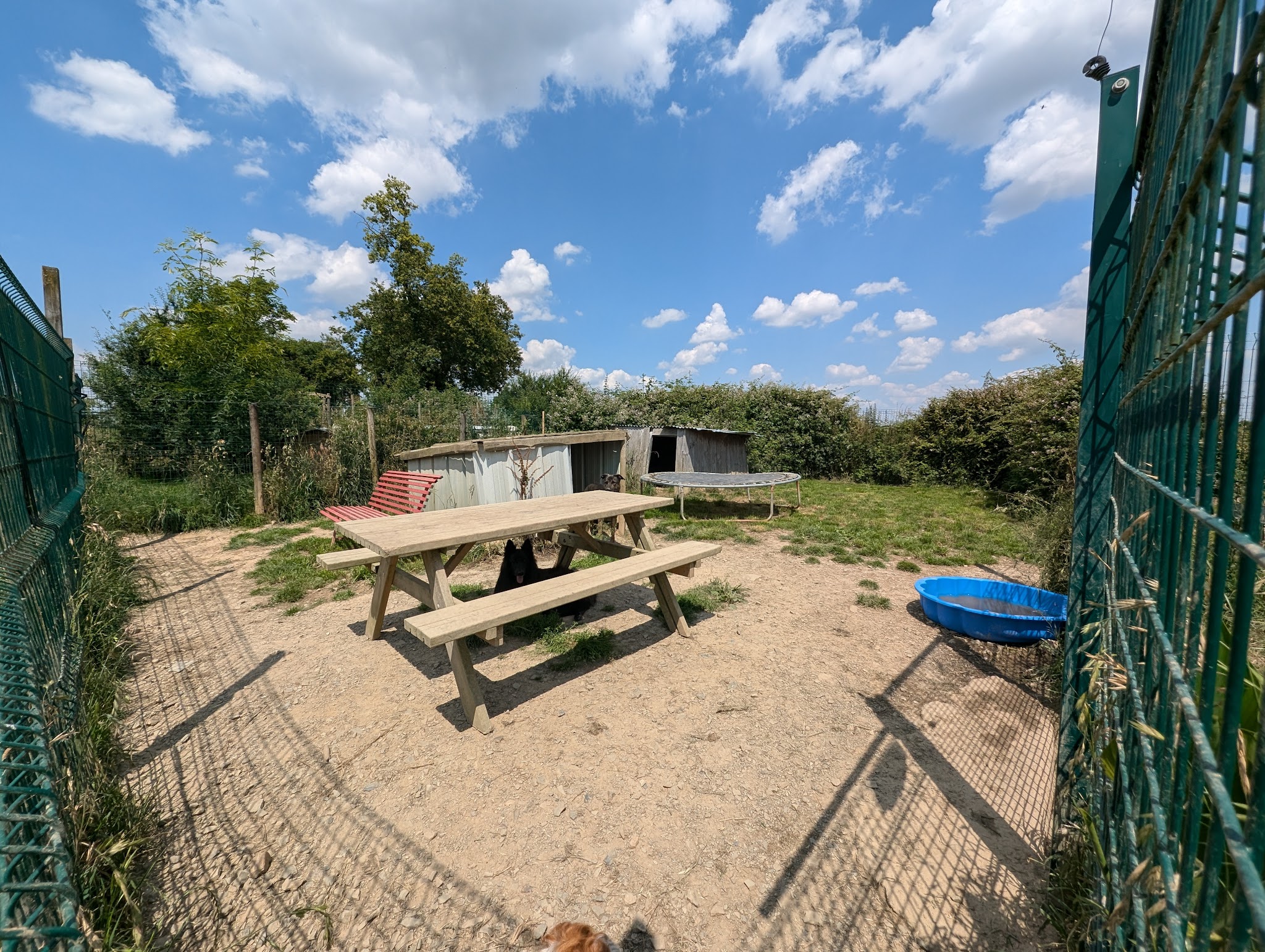 Terre de Légendes - Élevage, pension, éducation, alimentation et accessoires pour chiens et chats — photo