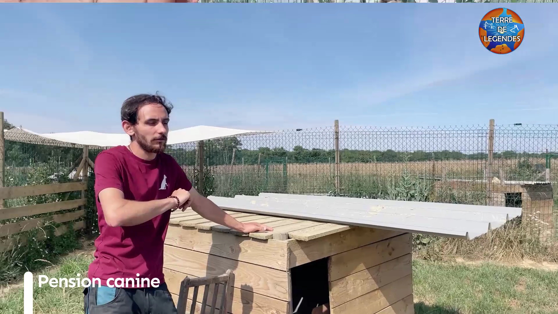 Terre de Légendes - Élevage, pension, éducation, alimentation et accessoires pour chiens et chats — photo