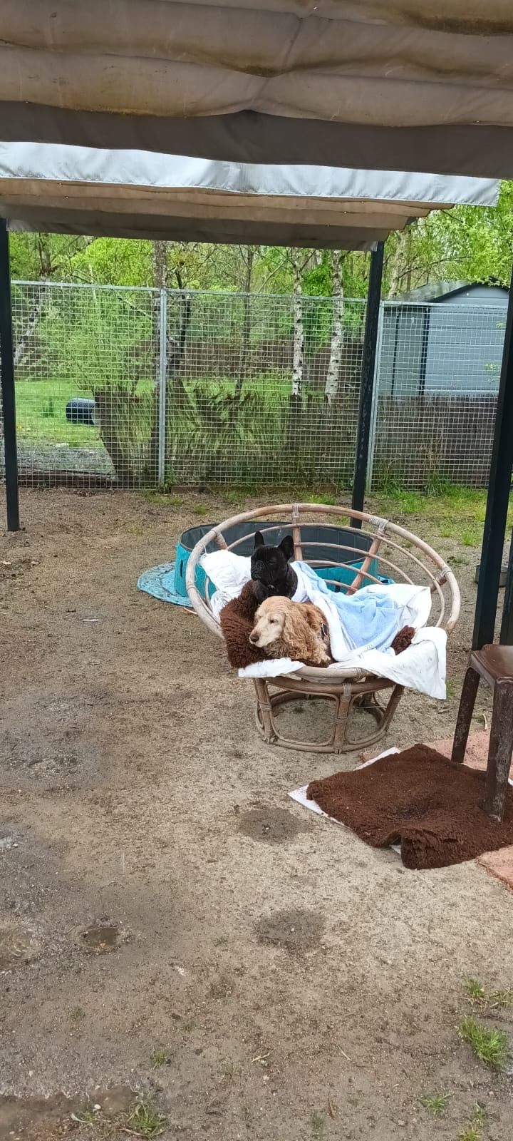 Au Paradis du Doggy — photo