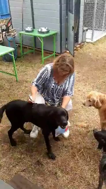 Au Paradis du Doggy — photo