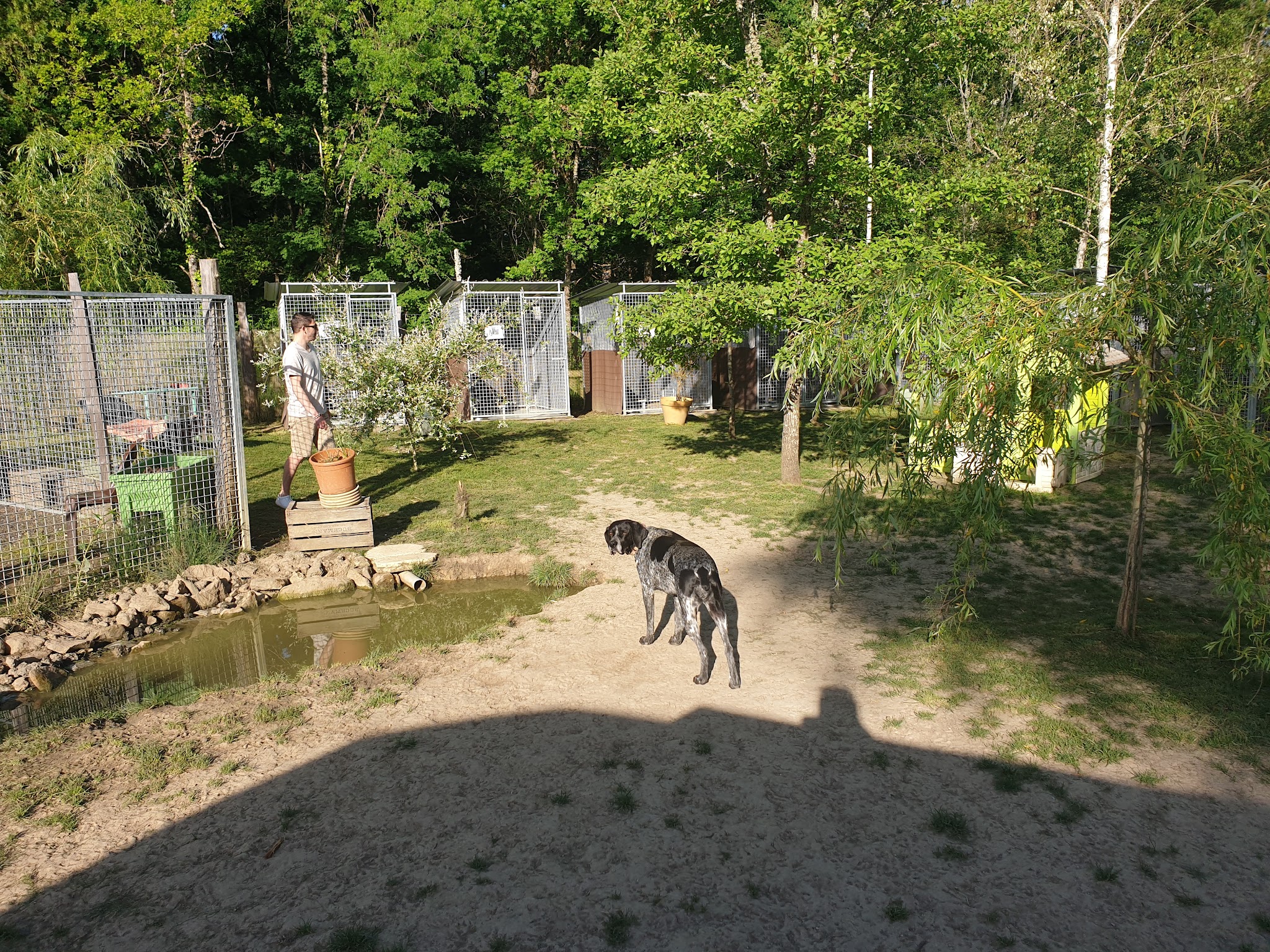 Au Paradis du Doggy — photo