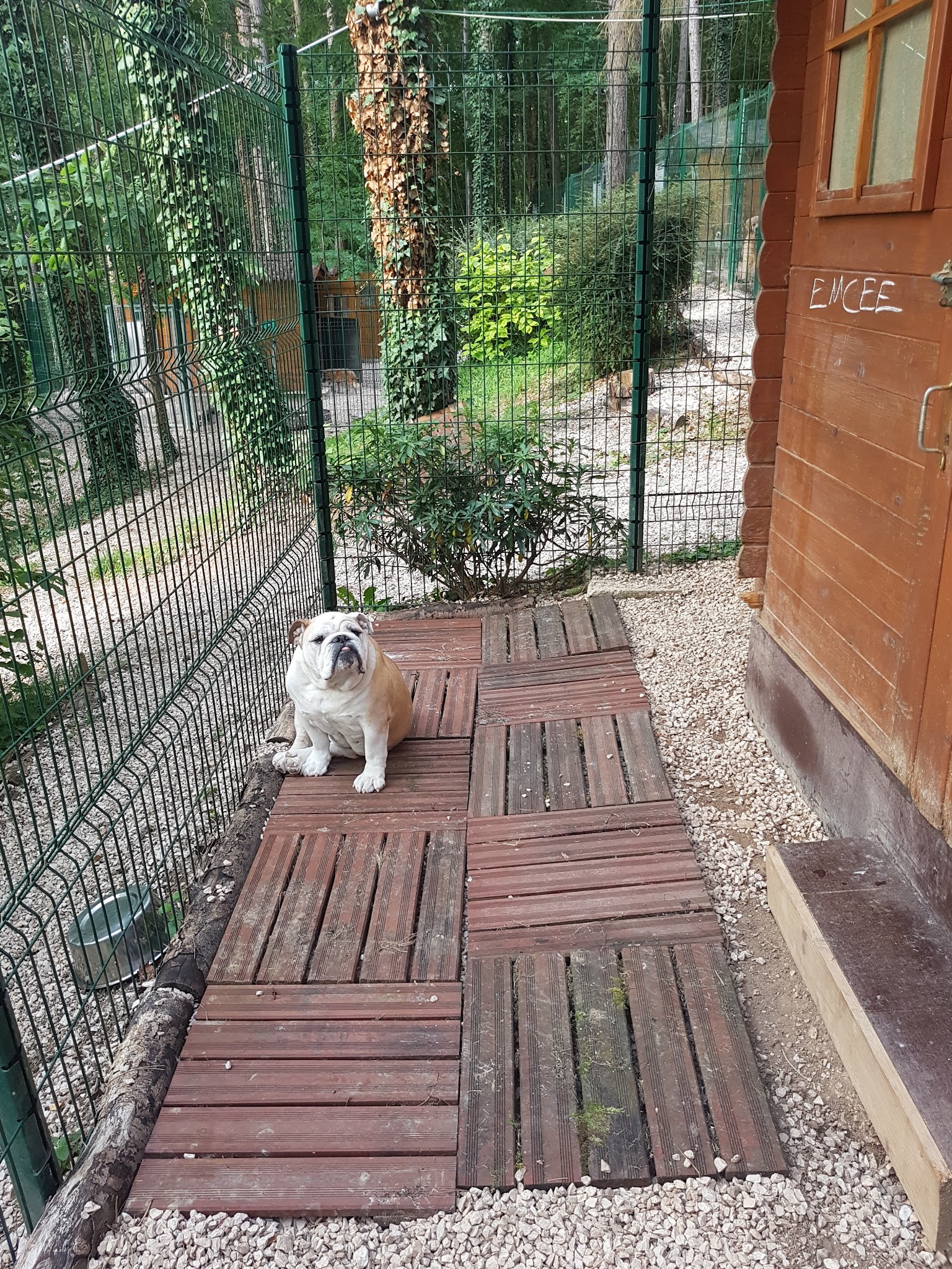 La Pension de Cécile — photo