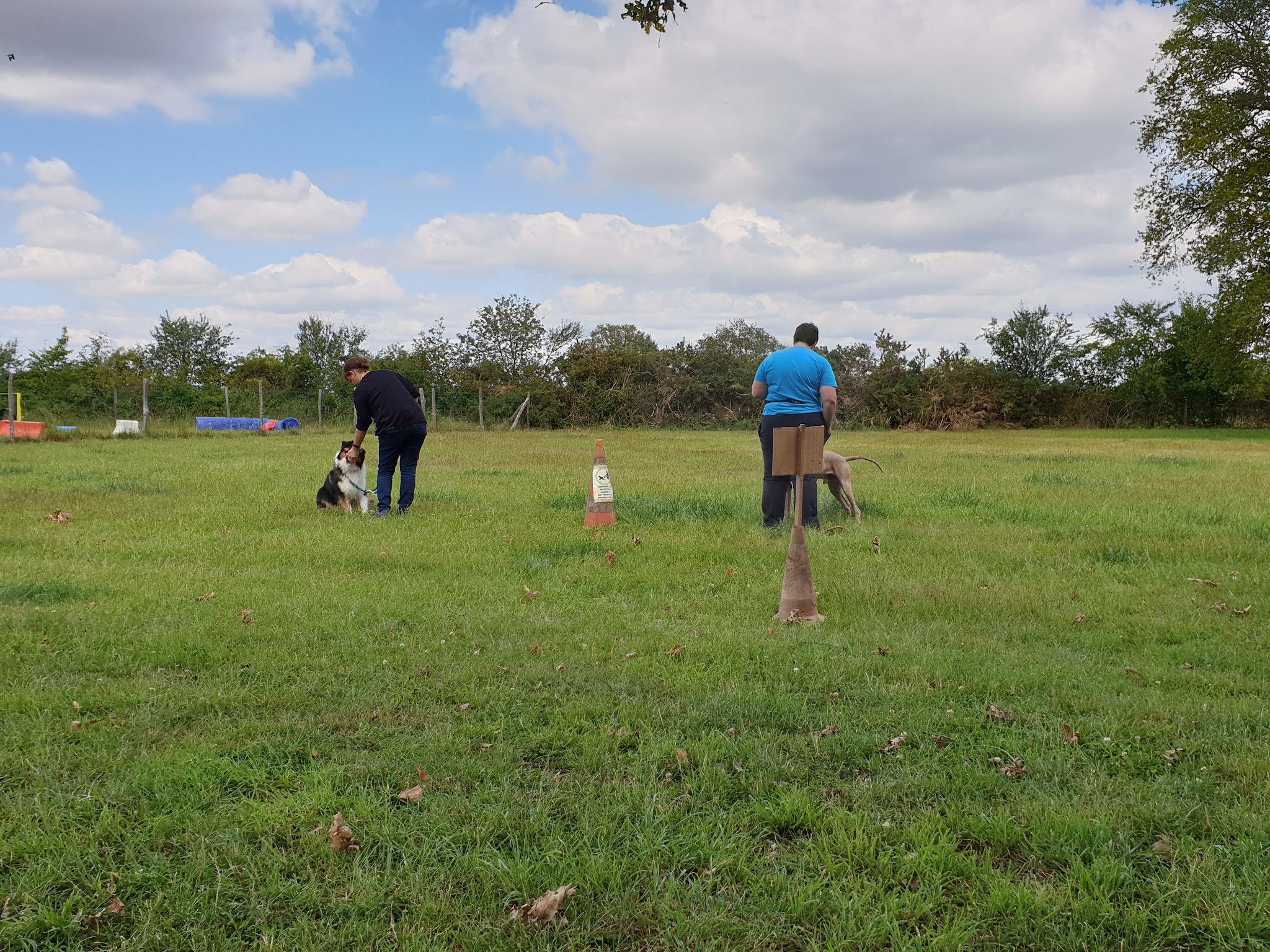 Centre canin des gardiens de feu Complexe canin Stay Pawsitive