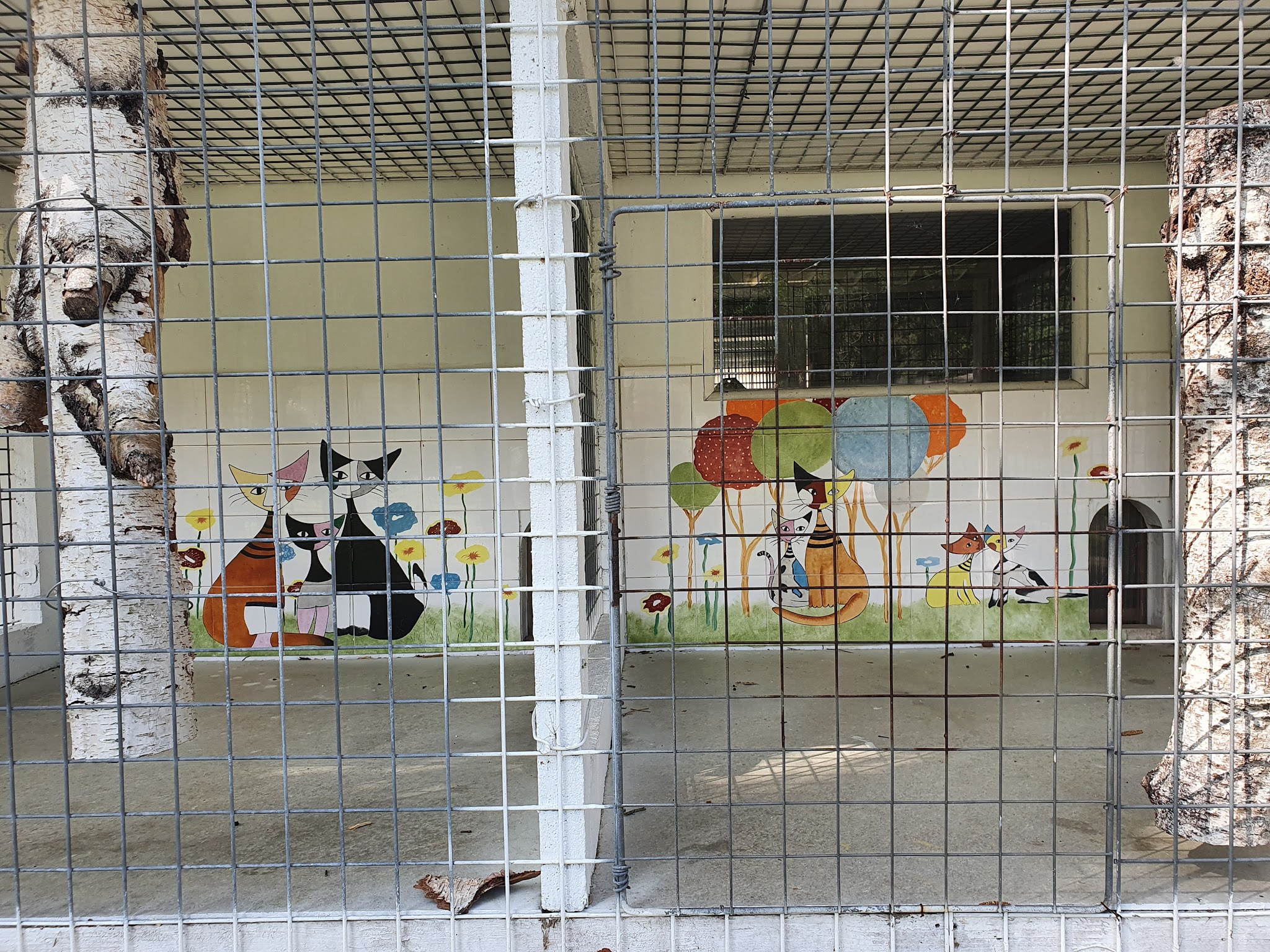 Pension des Sables — photo