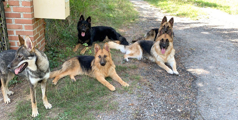 Le domaine de l'antre des loups
