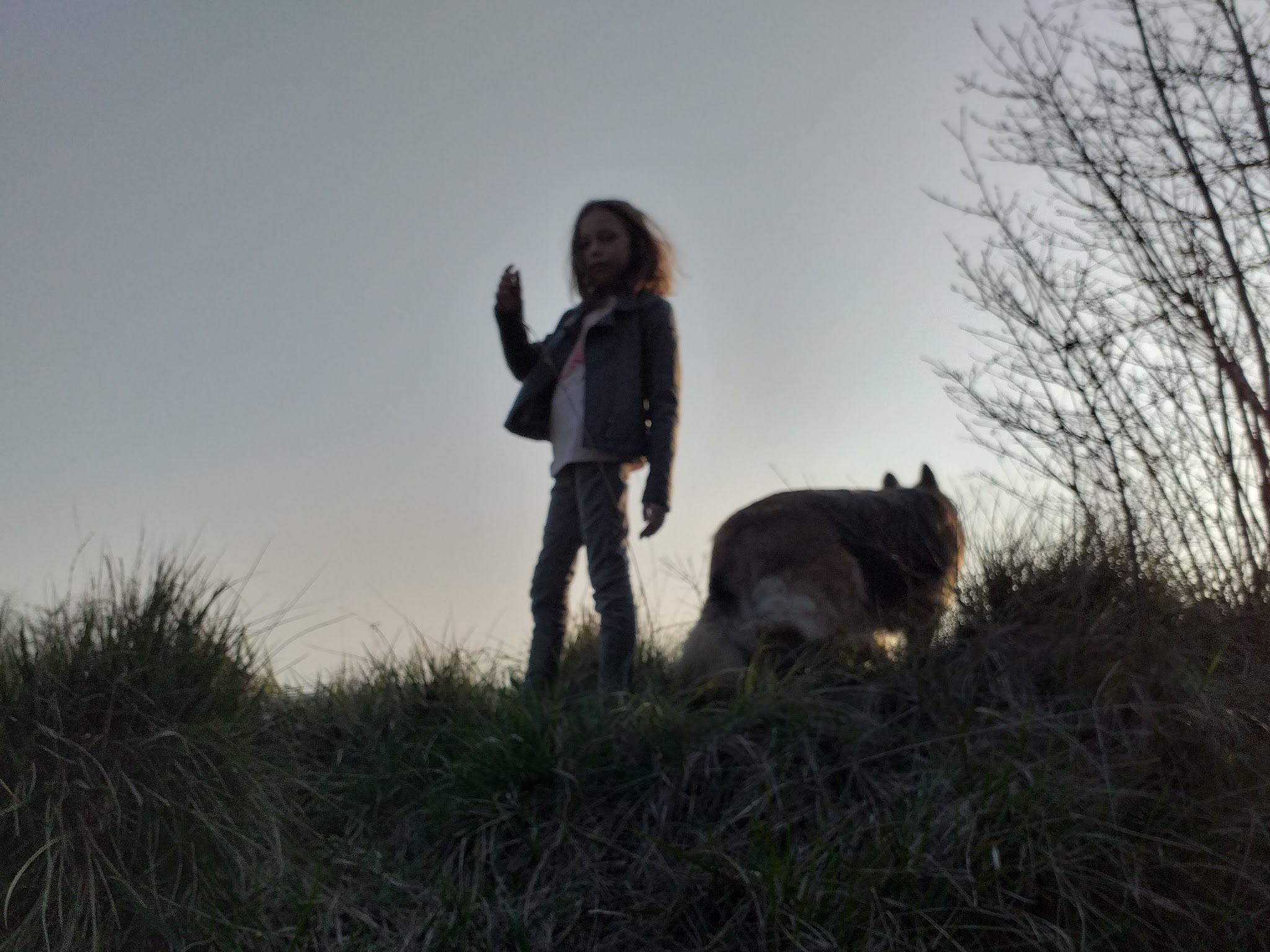 Le domaine de l'antre des loups — photo