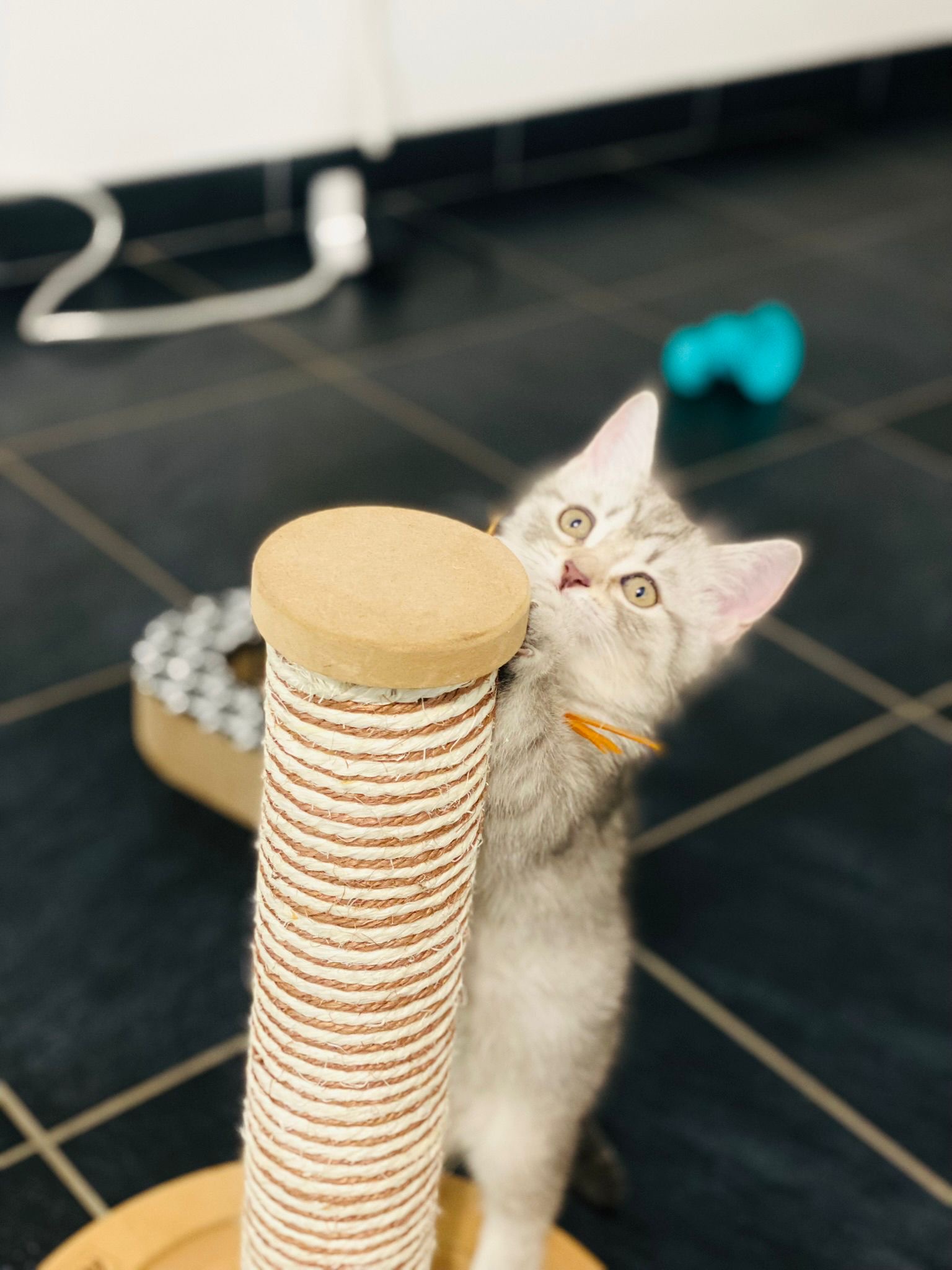 Laët'sitting