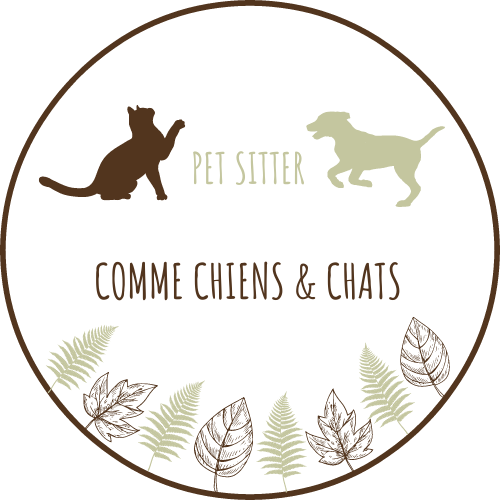 Comme chiens & chats — photo