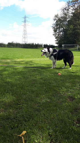 Passion Canine